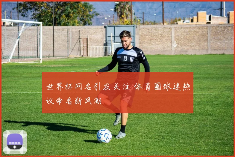 世界杯网名引发关注 体育圈球迷热议命名新风潮