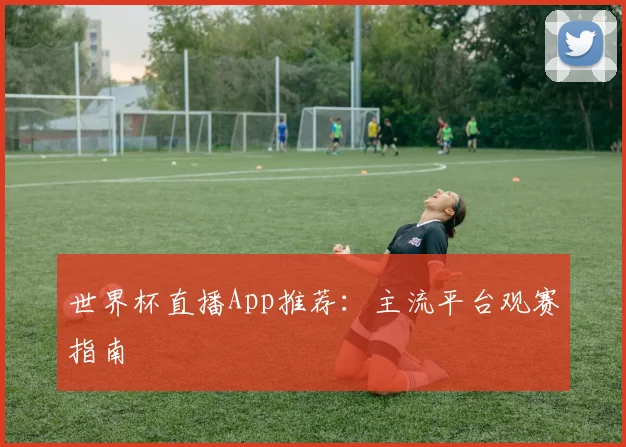 世界杯直播App推荐：主流平台观赛指南