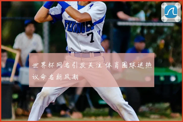 世界杯网名引发关注 体育圈球迷热议命名新风潮